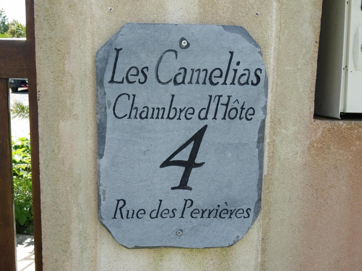 Les Camelias Bed and Breakfast Binic Exteriör bild