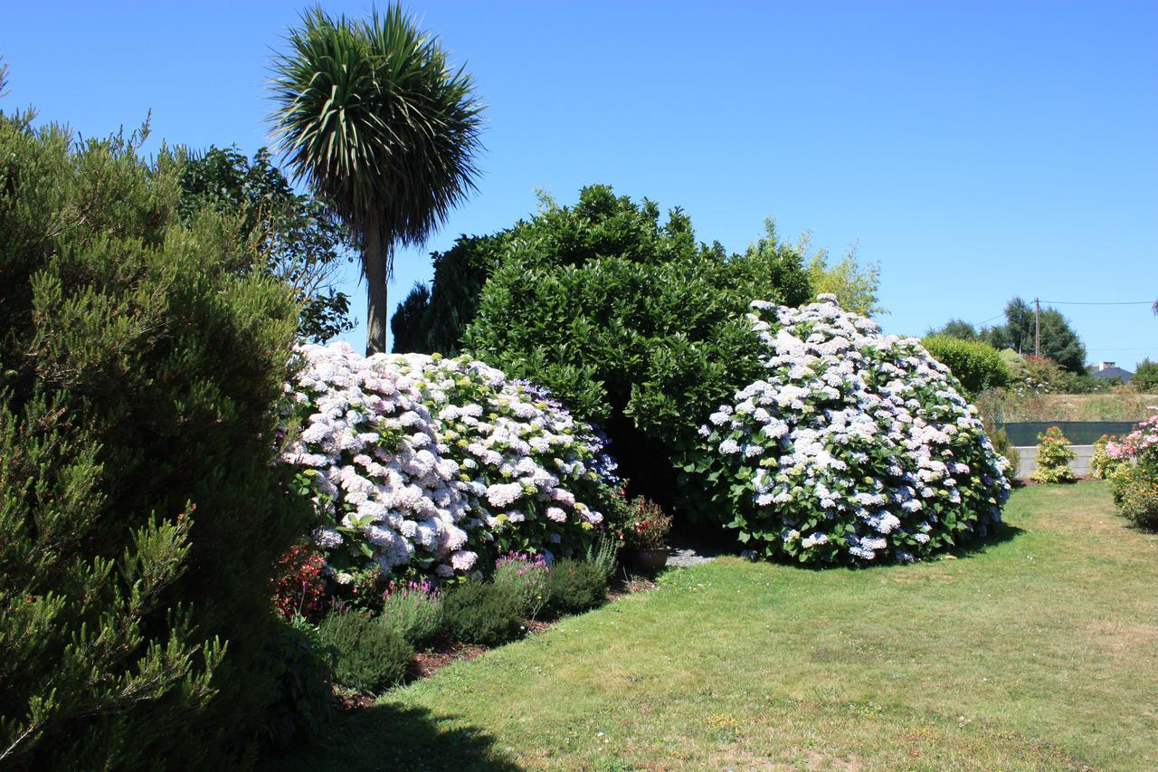Les Camelias Bed and Breakfast Binic Exteriör bild